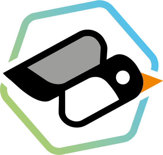 STERNE programme logo